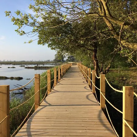 Casa Do Paco - 阿威罗