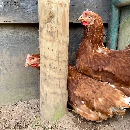 Casa Do Paco - 公寓 *