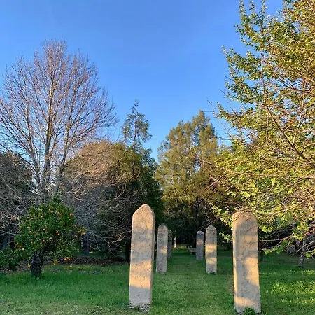 公寓 Casa Do Paco - 阿威罗