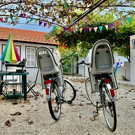 Casa Do Paco بيت للعطل أفيرو
