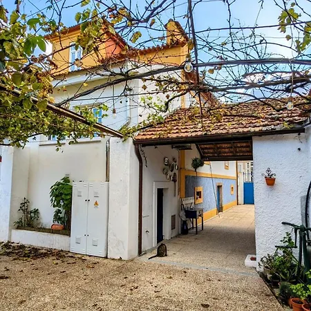Casa Do Paco - 公寓