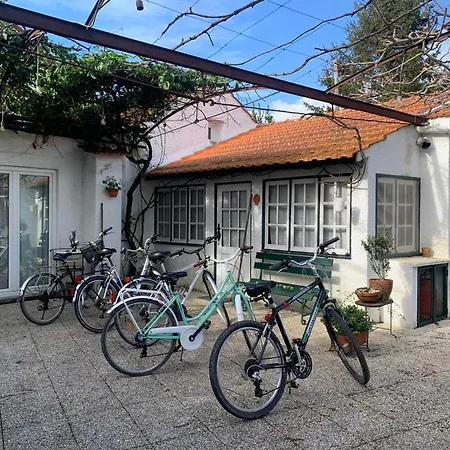 Casa Do Paco * أفيرو