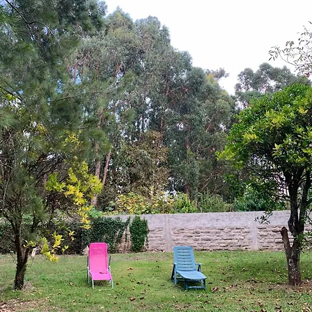 Casa Do Paco - 阿威罗