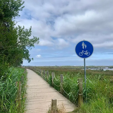 公寓 Casa Do Paco - 阿威罗