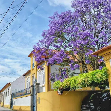 Casa Do Paco - Daire *