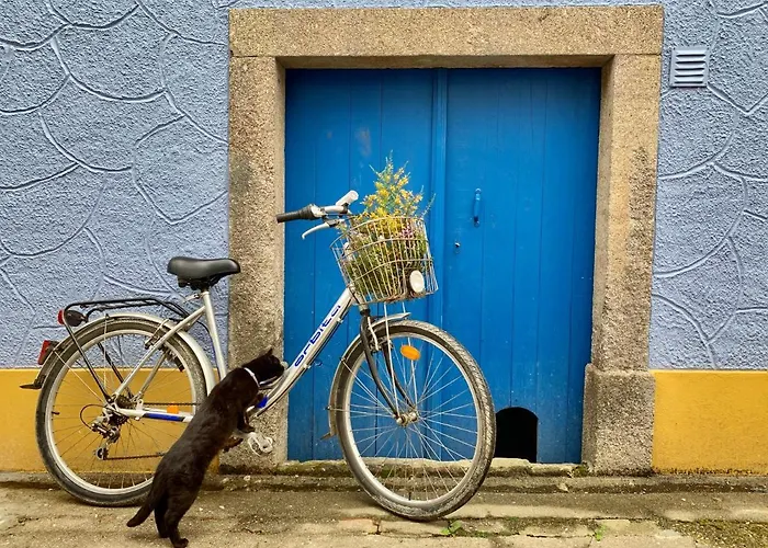 Casa Do Paco - 아파트 아베이루