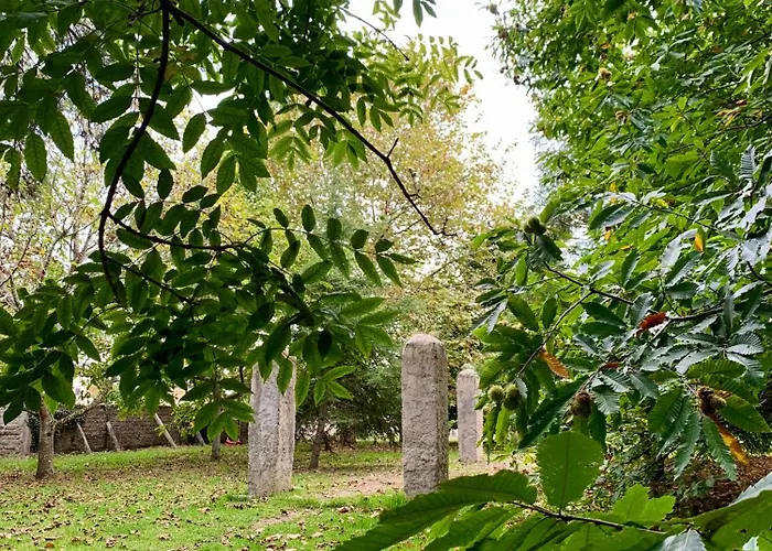 Casa Do Paco - 아파트 아베이루